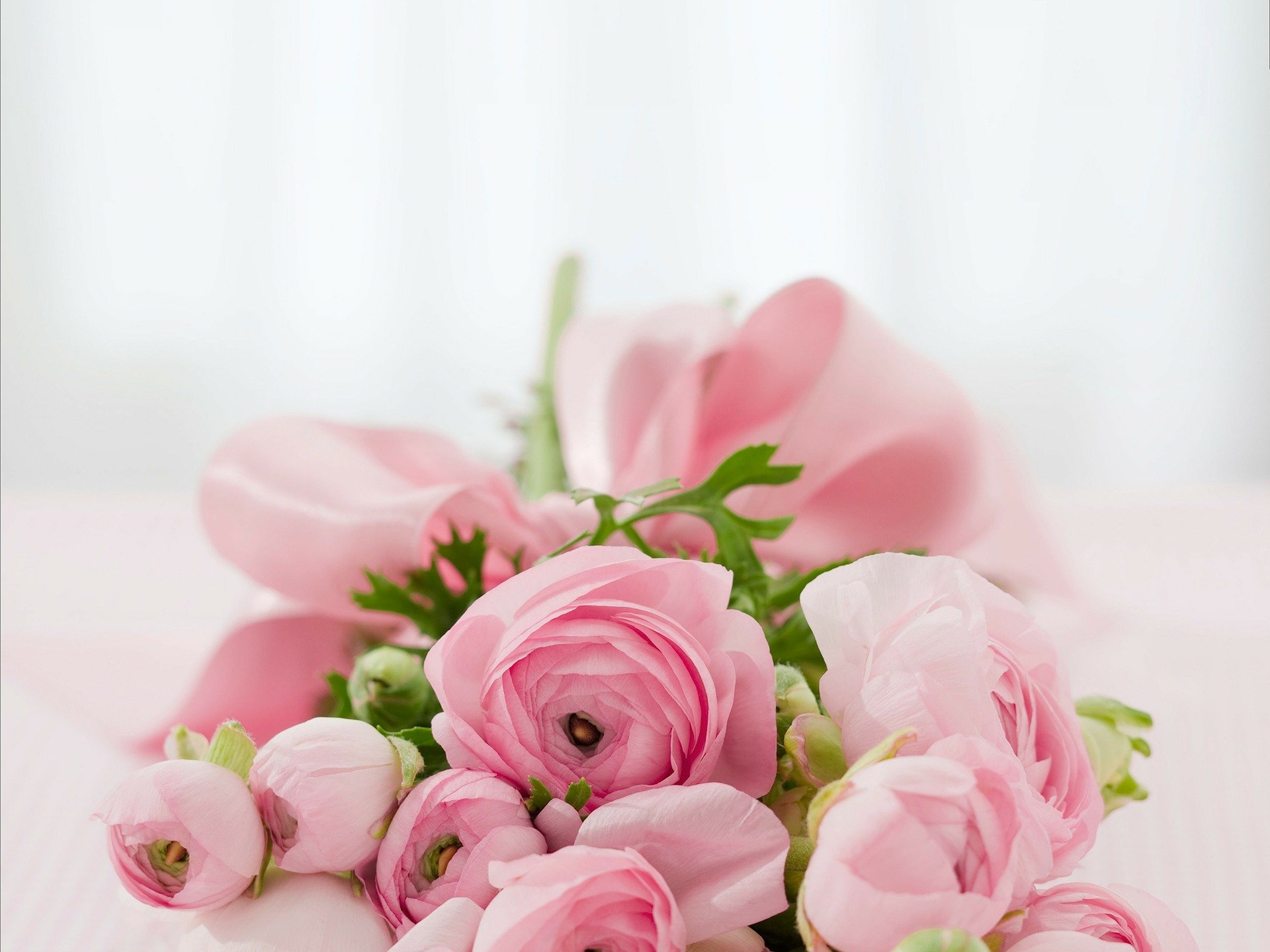 Blomster - Butik Prik - Svendborg - 5